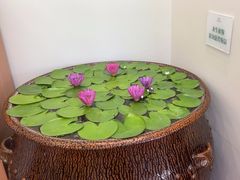 -第六季自助餐厅(北太平庄店)