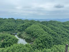 -沐川竹海旅游景区