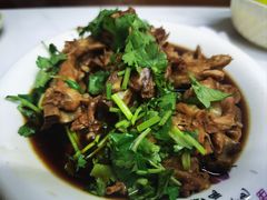 -老马家蒸饺(南海街店)
