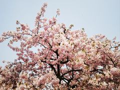 -上海辰山植物园