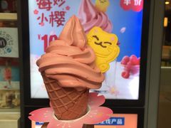 -麦当劳(金桥店)