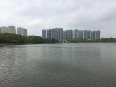 -白塘生态植物园