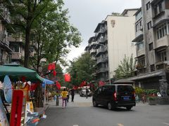 -泡桐树街