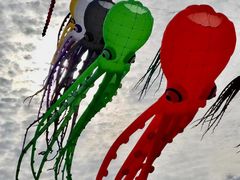 -潍坊滨海云门国际风筝放飞场