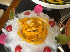 -菌自由丨野生菌火锅特色庭院餐厅(丽江古城店)