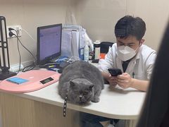 -安安宠医宠物医院·异宠·犬猫内科(岳阳分院)