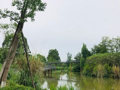 -白鹭湾湿地公园