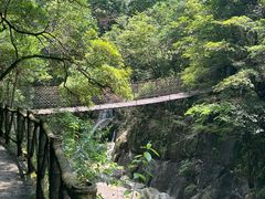 -大鄣山卧龙谷景区