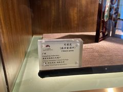 -广州白天鹅宾馆