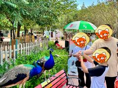 -水上乐园·欢乐世界