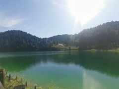 -武陵山森林公园