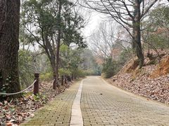 -虞山风景区
