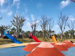 -春花秋色城市公园