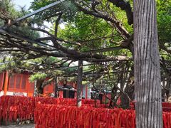 -红螺寺