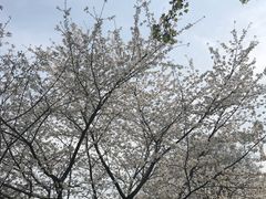 -璐坊粽王(复兴中路店)