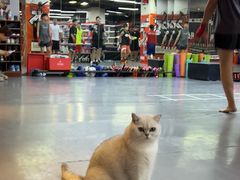 -拳盛时代拳击俱乐部(北京路店)