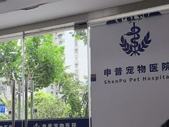 -申普宠物医院·眼科·心内科·影像科(普陀分院)