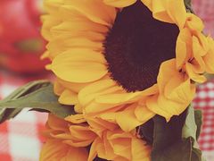 -苏州河梦清园环保主题公园