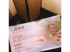 -河源万绿湖美思威尔顿酒店
