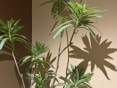 -象泰SPA·泰式按摩·足疗(卓悦中心店)