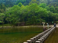 -龙湾潭国家森林公园