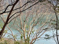 -羚羊峡古栈道森林公园