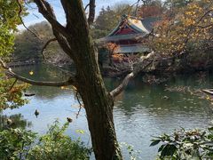 景点-井之头恩赐公园