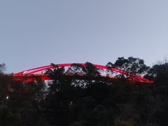 -金鸡山公园