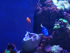 -成都浩海立方海洋公园