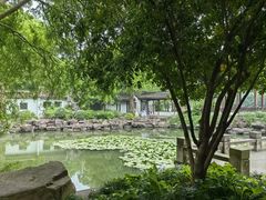 -西溪国家湿地公园