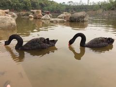 -两江国际影视城