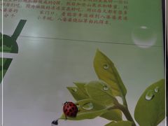 -八婆婆烧仙草(SM城市广场店)