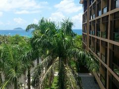 android_upload_pic-三亚亚龙湾红树林度假酒店