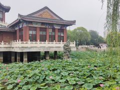 -天津水上公园