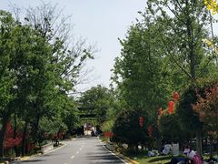 -黄陂区野村谷景区