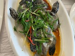 -众味海鲜大排档·活海鲜·潮汕味(南澳店)