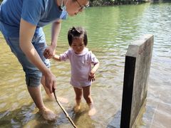 -青龙山国家森林公园