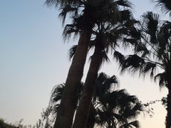 -铁路文化公园