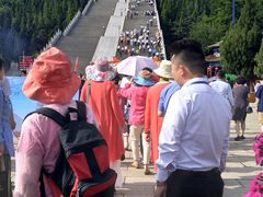 -龙口南山旅游景区