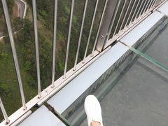 -梦幻奥陶纪景区