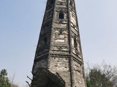 -上海佘山国家森林公园天马山园