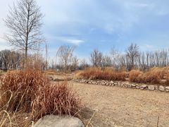 -野鸭湖国家湿地公园