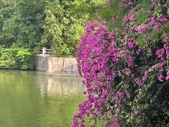 -海珠湖公园