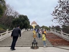 -庐山风景名胜区-东林大佛