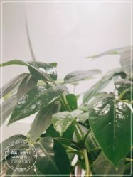 -变画·发型STUDIO