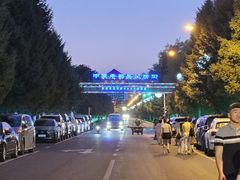 -布尔津河堤夜市