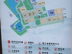 -碧江金楼
