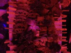-好乐迪量贩KTV(春熙路香槟广场店)