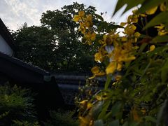 -胡雪岩故居