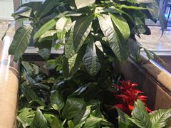 -荷花亭·湖北融合菜(十堰武商MALL店)